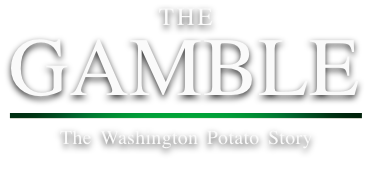 TheGamble logo
