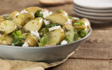 Fennel and Goat Cheese Potato Salad