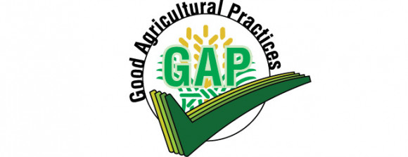 UNITED STATES DEPARTMENT OF AGRICULTURE (USDA) AGRICULTURE MARKETING SERVICE (AMS) TO HOLD WEBINAR ON UPDATES TO USDA HARMONIZED GOOD AGRICULTURAL PRACTICES (GAP) AND GAP PLUS+ AUDIT STANDARDS