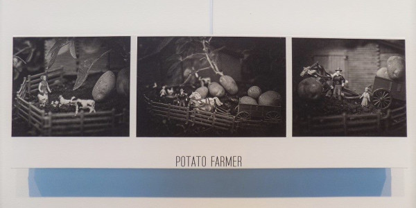2018 Potato Art Show