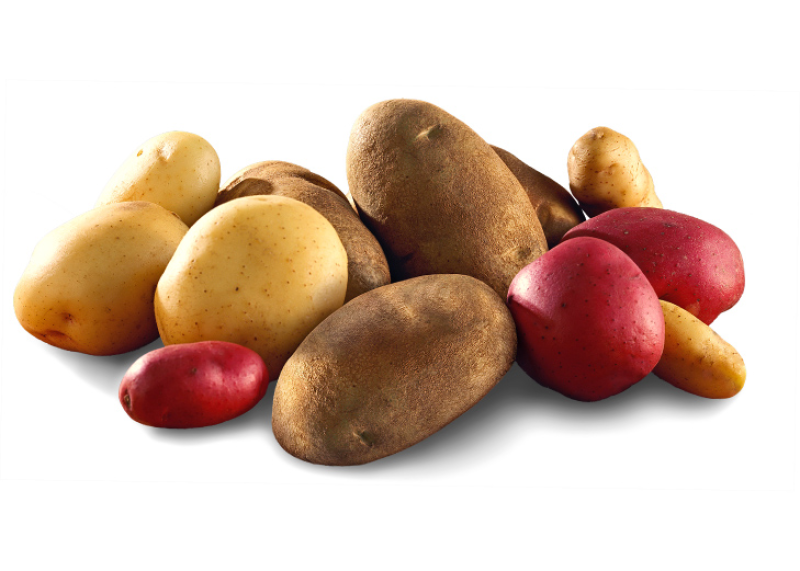 Potato News and Nutrition