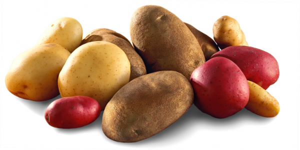 Potato News and Nutrition