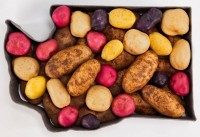 POTATOES LINKED TO HIGHER DIET QUALITY IN ADOLESCENTS