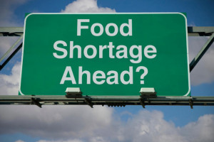 Managing Food Shortages Using a Flex-Menu