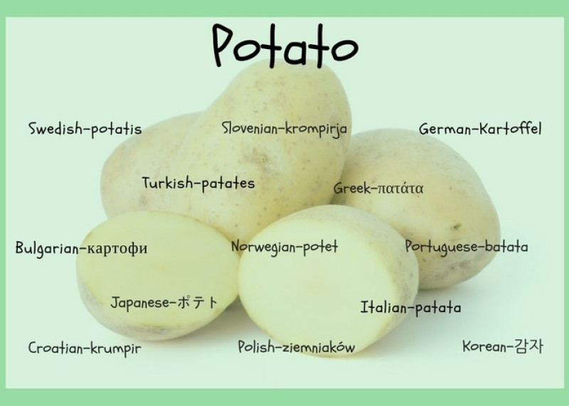 Potatoes Around the World