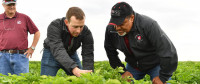 2022 POTATO FIELD DAY AND PVY DEMO JUNE 23RD